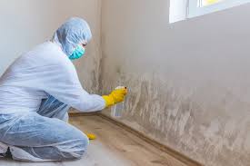 Best Industrial Mold Remediation  in Brice Prairie, WI