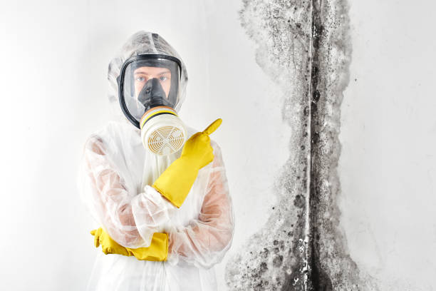 Mold Remediation for Vacation Homes in Brice Prairie, WI